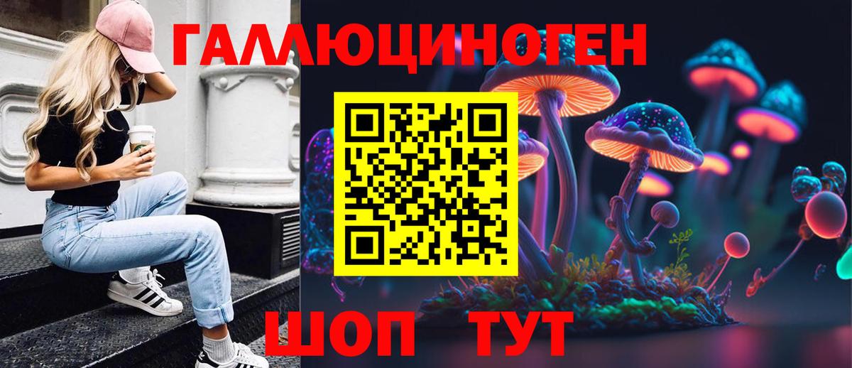Галлюциногенные грибы MAGIC MUSHROOMS  Псилоцибиновые грибы Cubensis  Шадринск  Вход с VPN 